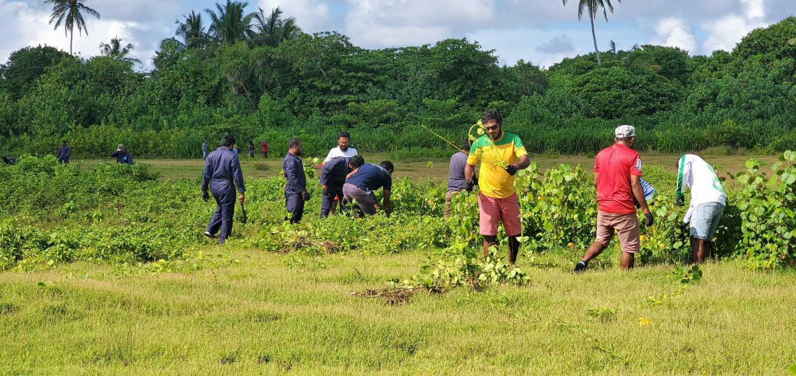 ކާޑެއްދޫ އާރޯކުރުމުގެ ފުރަތަމަ ހަރަކާތް މި ހޮނިހިރުގައި 