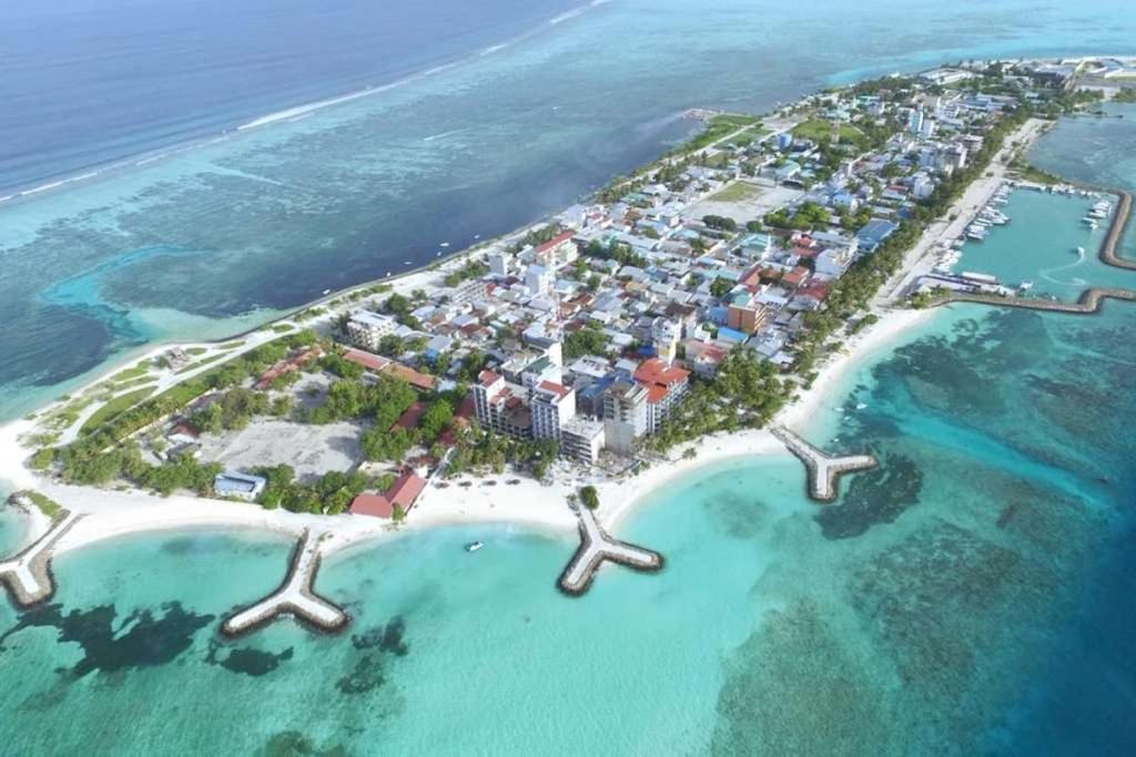 މާފުށީ ޖަލަށް ތަކެތި ވައްދަން އުޅުނު މީހަކު ގެނބިގެން މަރުވެއްޖެ