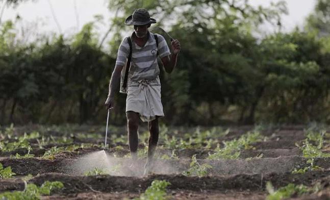 ދަނޑުވެރިކަން ކުރުމަށް ސްރީލަންކާގެ ސަރުކާރު މުވައްޒަފުންނަށް އިތުރު ބަންދު ދުވަހެއް