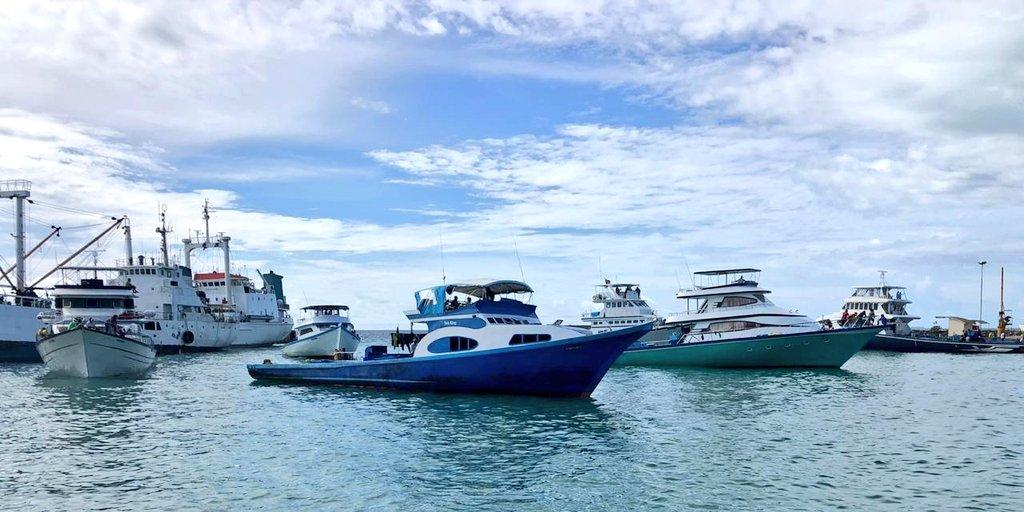 MIFCO Disburses Over MVR 31 Million to Fishermen for May 2026 Catches