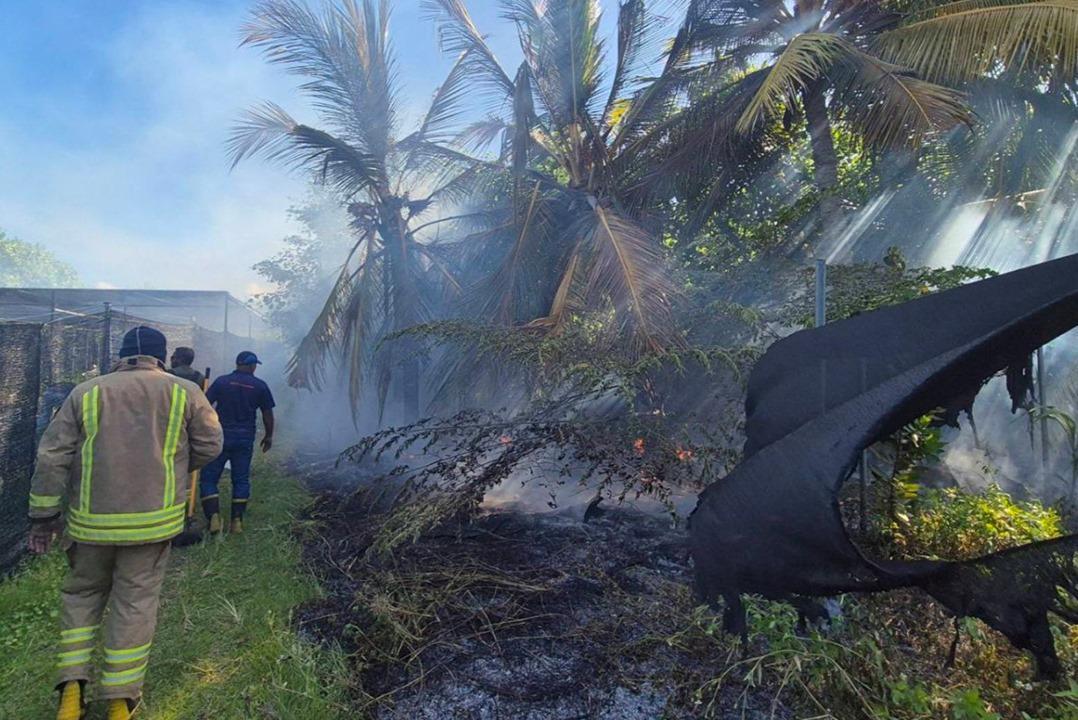 ސ މީދޫގައި އަލިފާނުގެ ހާދިސާއެއް!