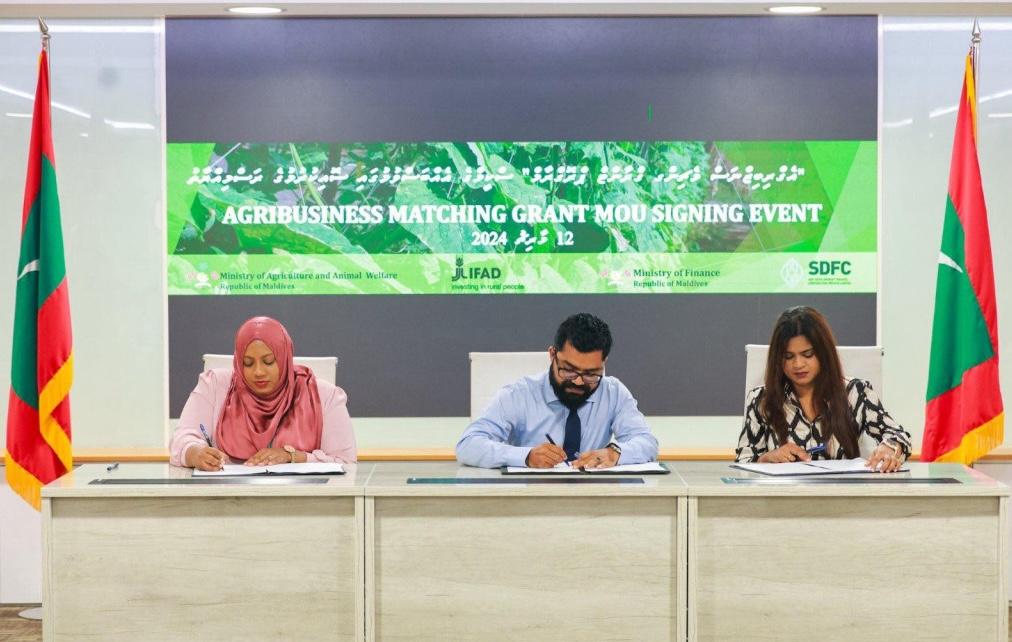 ދަނޑުވެރިންނަށް މާލީ އެހީތެރިކަން ފޯރުކޮށްދިނުމަށް 15 މިލިއަން ރުފިޔާގެ ސްކީމެއް