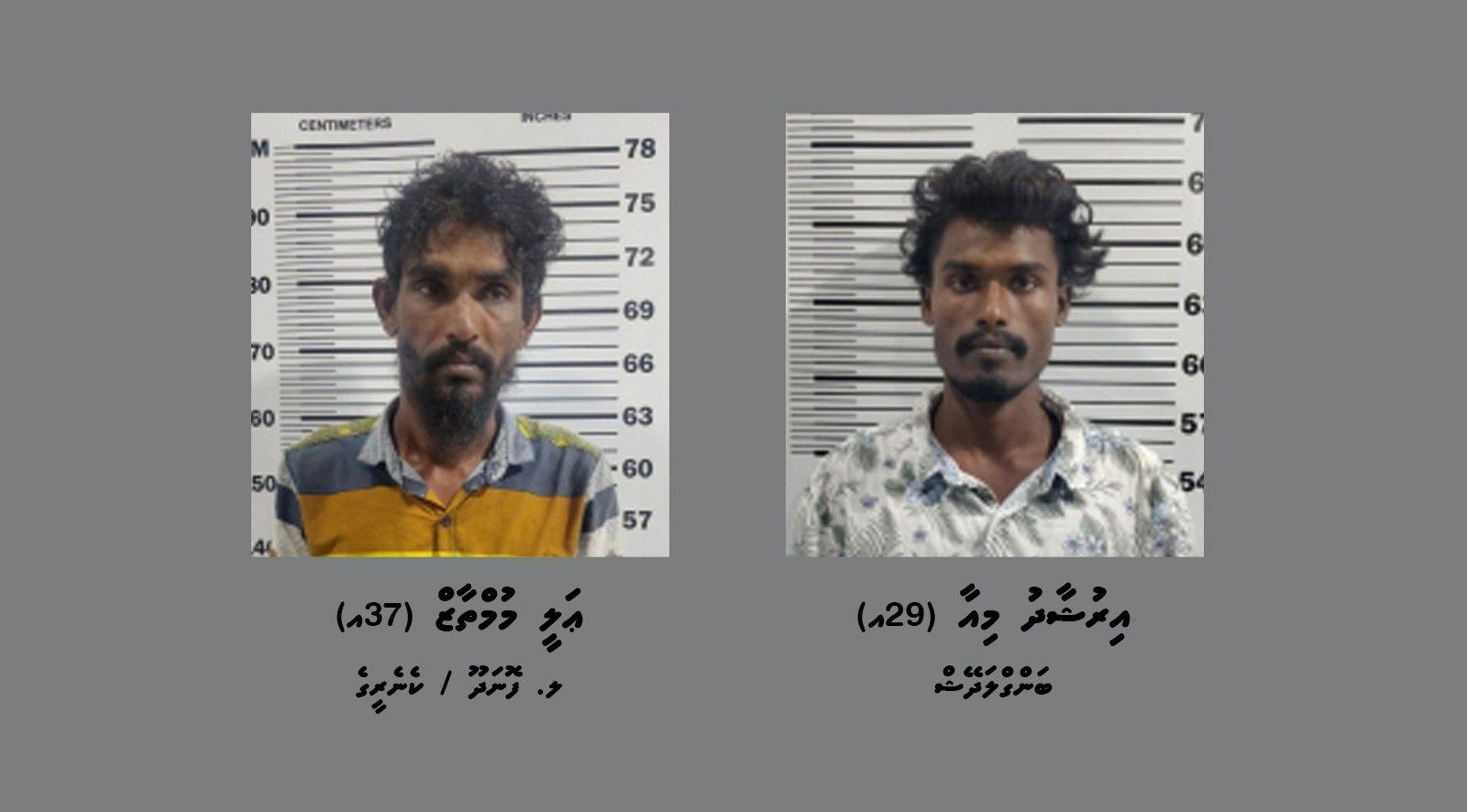 ވިލިނގިއްޔަށް މަސްތުވާތަކެތި އެތެރެކުރަން އުޅުނު ދެ މީހަކު ހައްޔަރުކޮށްފި