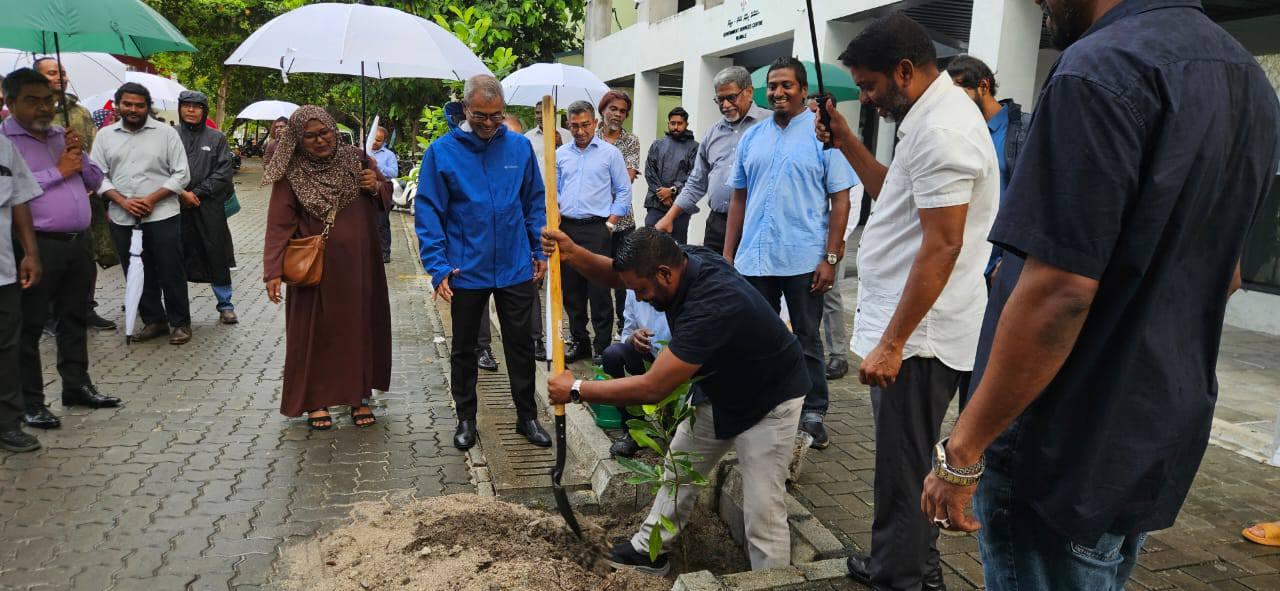 ވިލިމާލޭގައި 500 ގަސް އިންދުމުގެ ޕްރޮގްރާމެއް ފަށައިފި