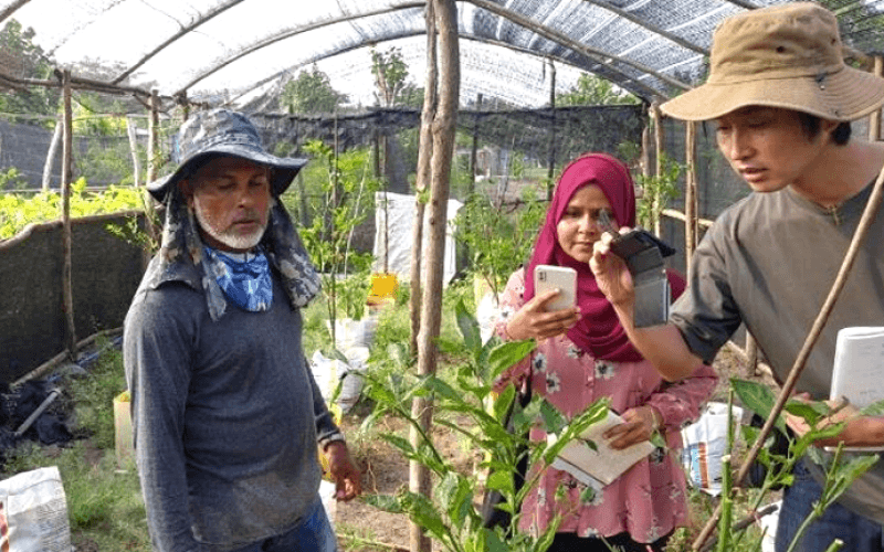 ދަނޑުވެރިކަމުގެ ދާއިރާއިން މަތީ ތަޢުލީމު ހާސިލް ކުރުމުގެ 10 ފުރުސަތު!