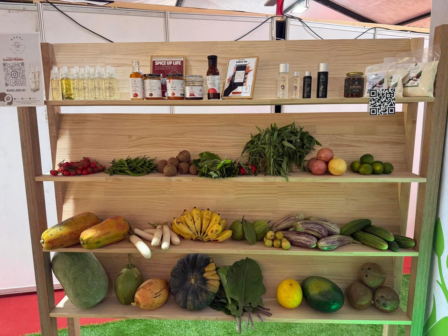 އެމްގެޕް ސްޓޭންޑަރޑަށް ދަނޑުވެރިން އަހުލުވެރި ކުރުމަށް ވޯކްޝޮޕެއް ބާއްވަނީ