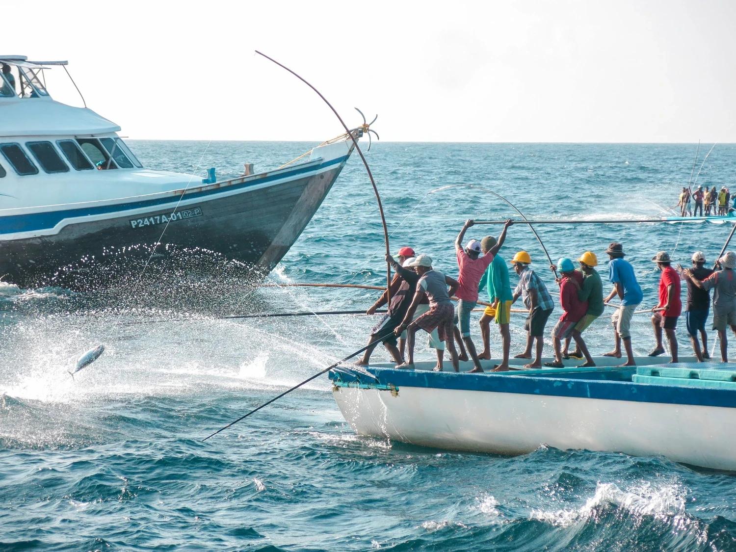 އެންމެ ފަހުގެ ޓެކްނޮލޮޖީ ހިމެނޭ މަސްވެރި އުޅަނދެއް ޑިޒައިން ކުރުމަށް ހުޅުވާލައިފި