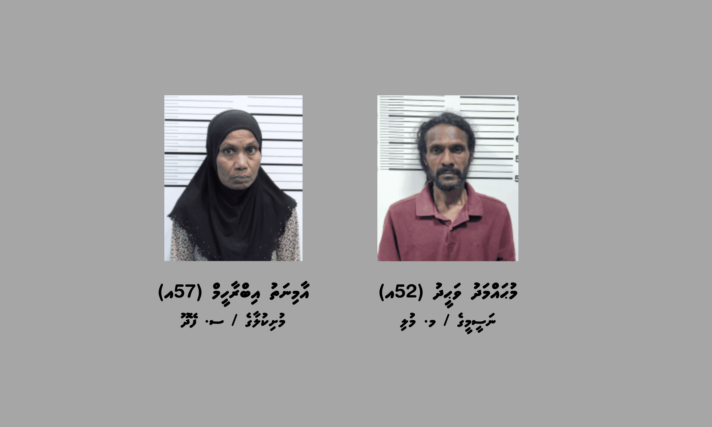 މަސްތުވާތަކެތީގެ ވިޔަފާރިކުރާ ކަމަށް ތުހުމަތުކުރެވޭ މައްސަލައެއްގައި ހިޔާ ފްލެޓަކުން ދެމީހުން ހައްޔަރުކޮށްފި