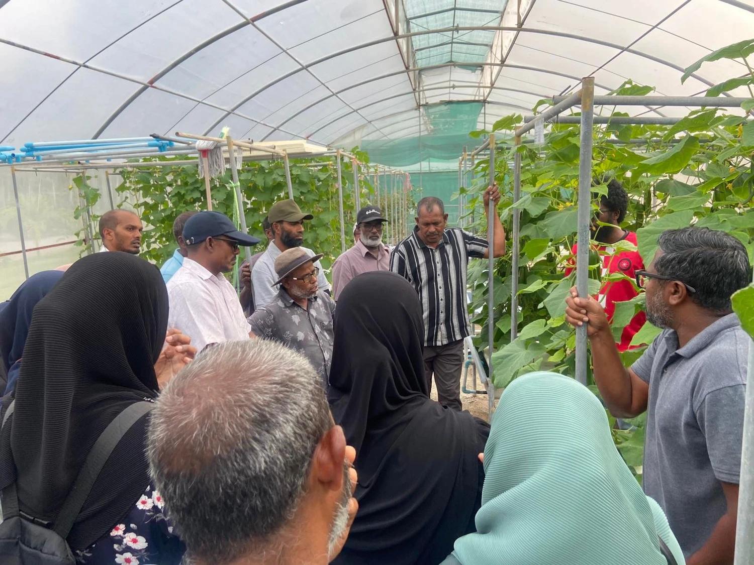 "އިސް ދަނޑުވެރިންގެ ތަމްރީން" ގެ ދެވަނަ ބުރު ފަށައިފި