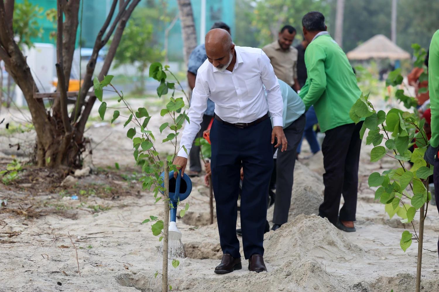 ތަޢުލީމީ ވުޒާރާގެ 93 ވަނަ އަހަރީ ދުވަހާ ގުޅުވައިގެން، ގަސް އިންދުމުގެ ބޮޑު ޙަރަކާތެއް ކުރިއަށް ގެންގޮސްފި