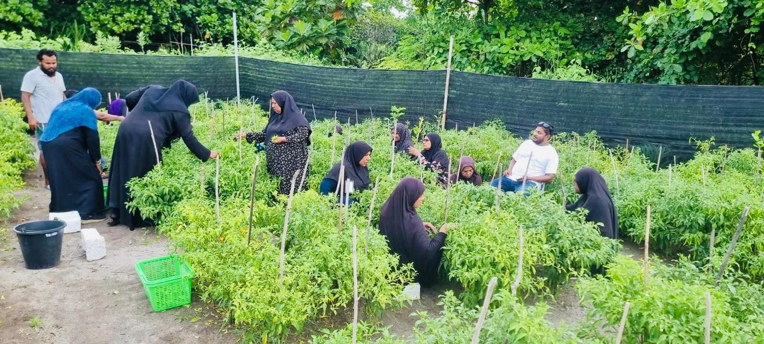 ދަނޑުވެރިކަމަށް ޗައިނާއިން ދިން އެހީ ހަވާލުކުރާނި އަތޮޅު، އަދި ސިޓީކައުންސިލްތަކަށް!