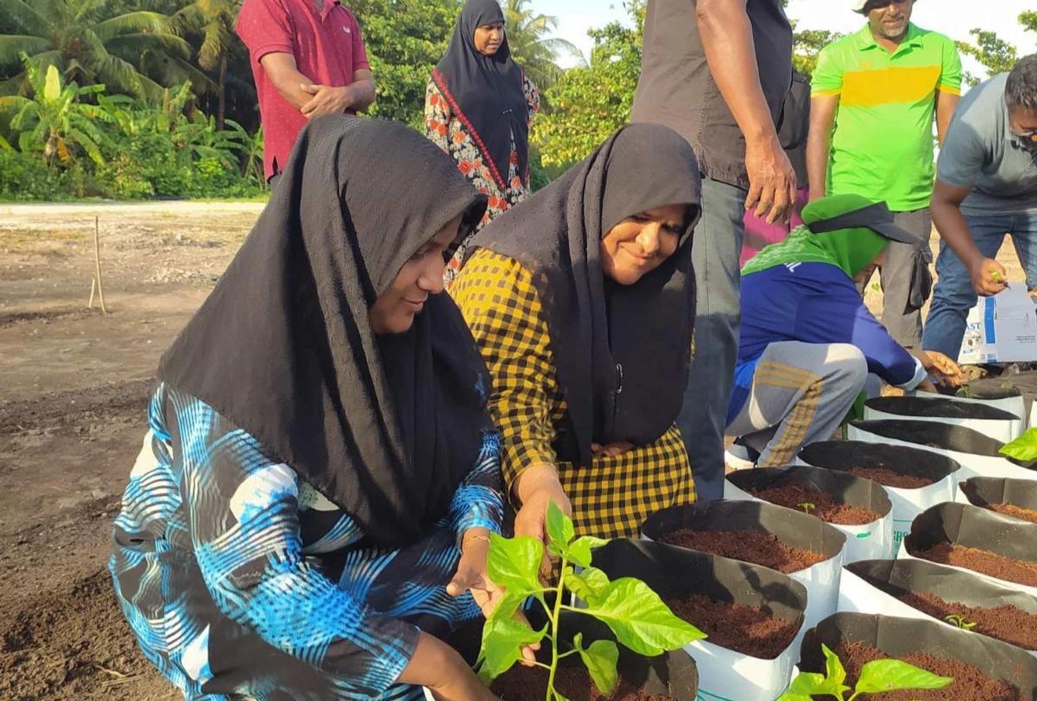 ވިޔަފާރި އުސޫލުން ދަނޑުވެރިކަން ކުރާ ފަރާތްތަކުގެ ދަފްތަރެއް އެކުލަވާލަނީ