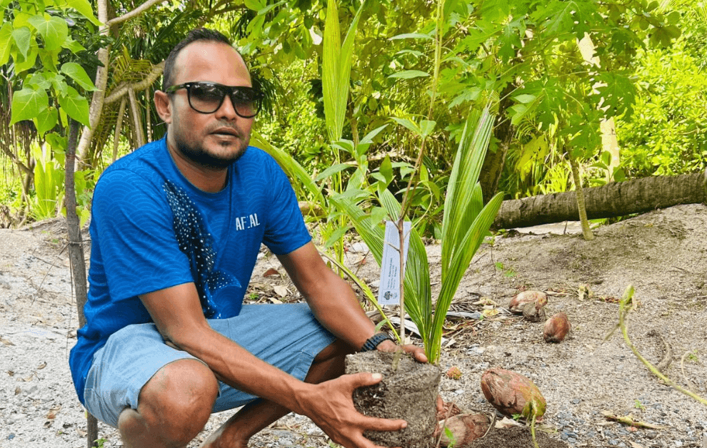 ދިގުރަށުގައި ގަސް އިންދުމުގެ ޙަރަކާތެއް ކުރިޔަށް ގެންގޮސްފި