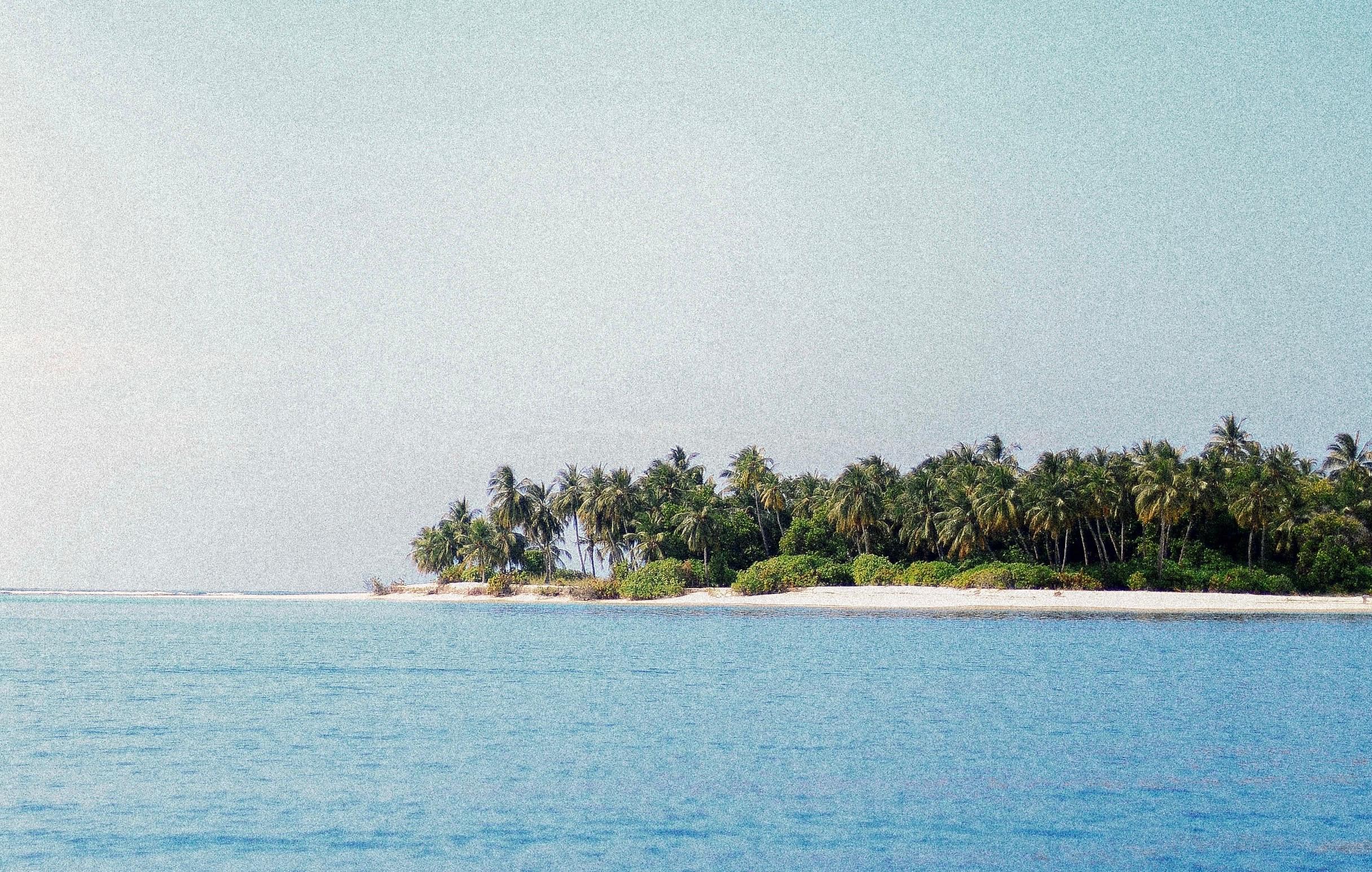 ޒަކަރިއްޔާގެ ހަށިގަނޑު އޮތީ ގަމަށް ލައްގާފައި