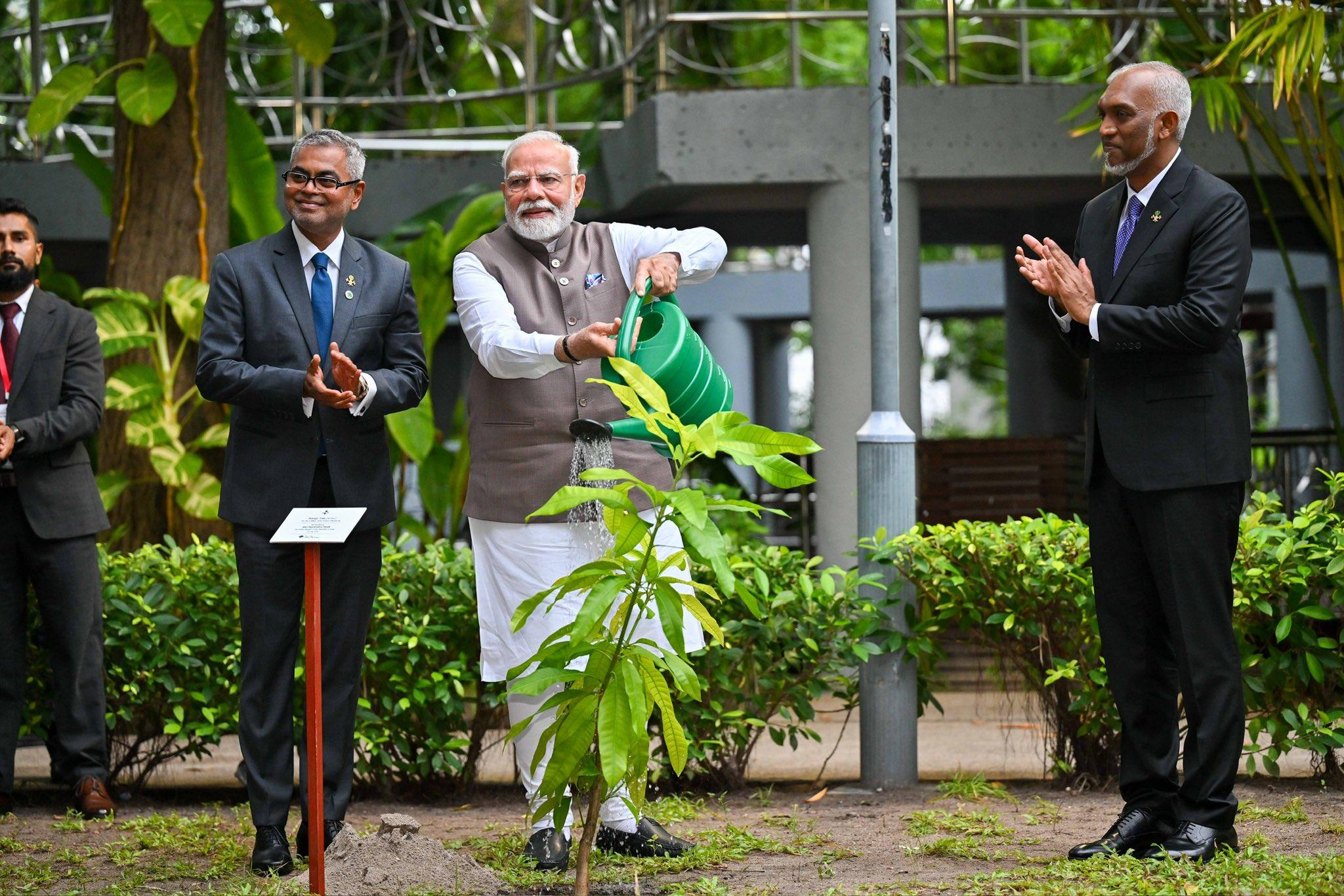 5 މިލިއަން ގަސް މަޝްރޫއުގެ ދަށުން މޯދީ ރާއްޖޭގައި ގަހެއް އިންގަވައިފި: އިންދެވީ އަނބު ގަހެއް!