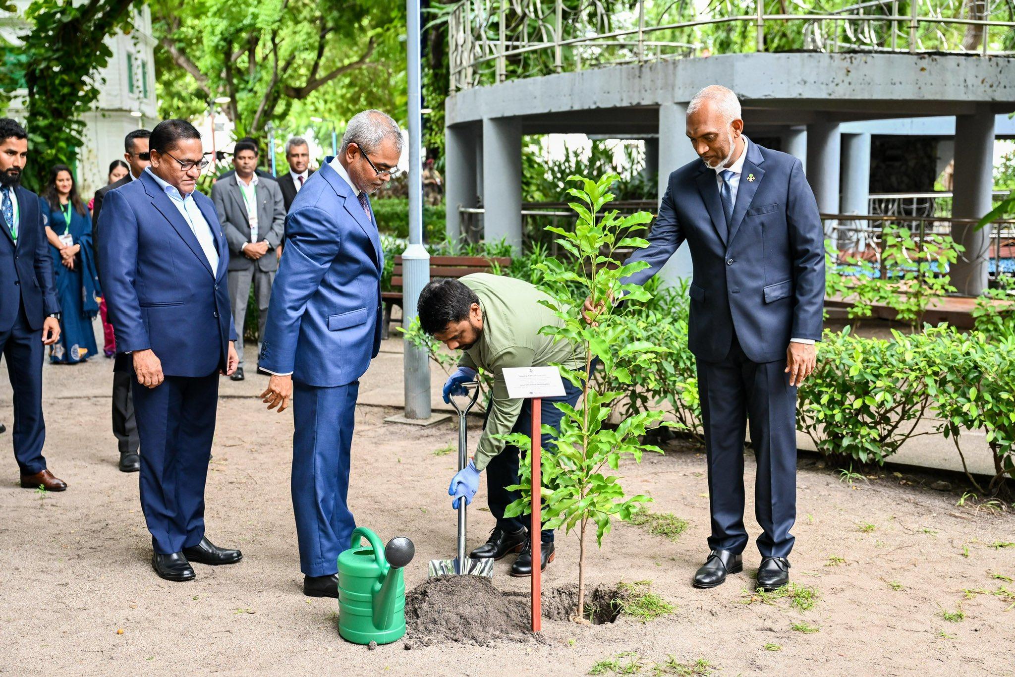 5 މިލިއަން ގަސް މަޝްރޫއުގެ ދަށުން ރައީސް އަނުރާ ރާއްޖޭގައި ގަހެއް އިންދަވައިފި: އިންދެވީ މޫނިމާ ގަހެއް!