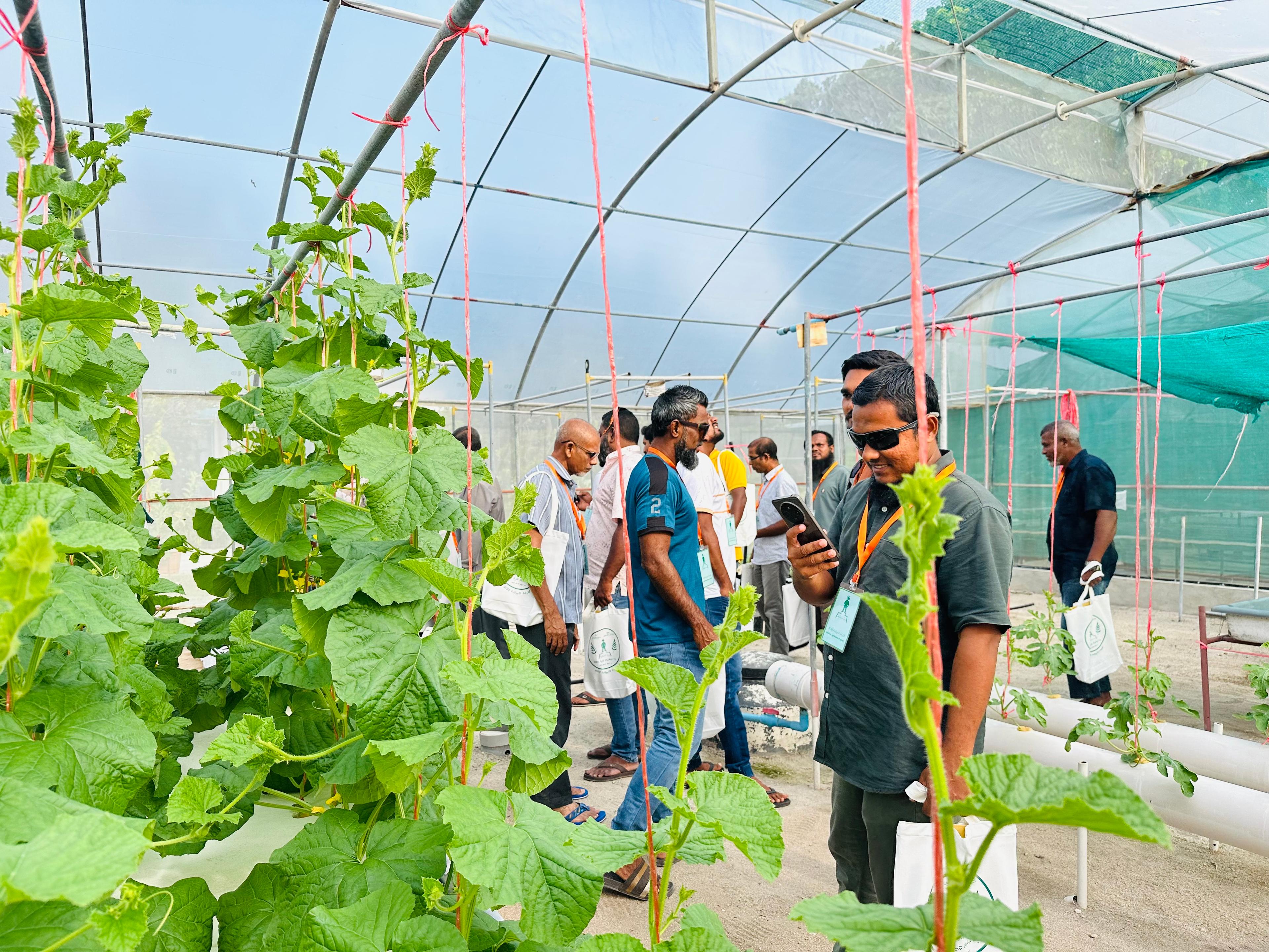 މޯލްޑިވްސް އެގްރިބިޒްނަސް ޕްރޮގްރާމަށް ލީޑް ފާމަރުން ތަމްރީންކުރަނީ