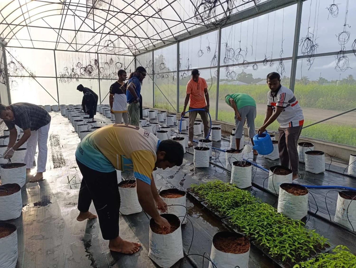 މެޕްގެ ގްރާންޓުގެ ދަށުން 6 ދަނޑުވެރިންނާއިއެކު އެއްބަސްވުމުގައި ސޮއިކޮށްފި