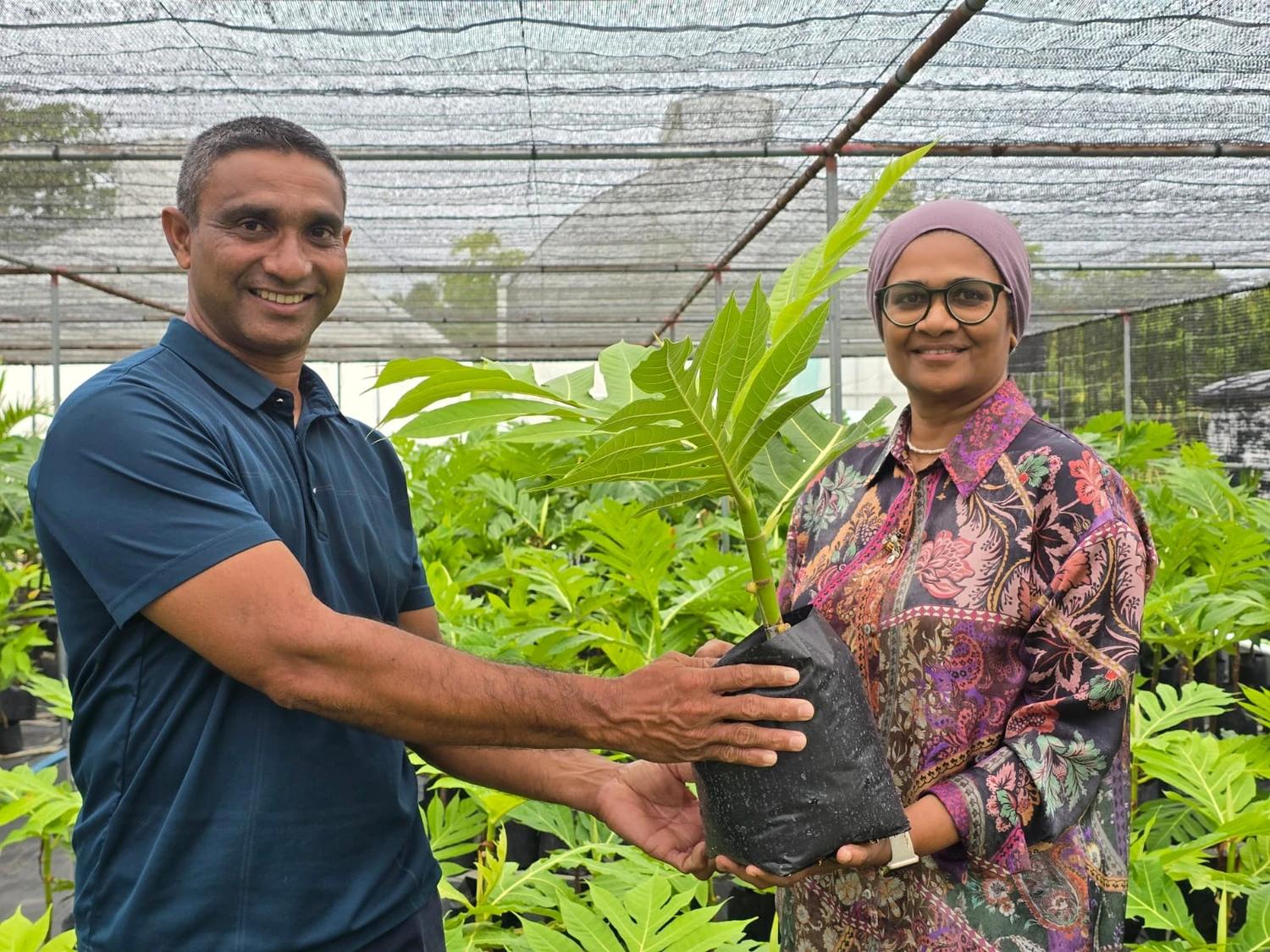 ފުޑް ސެކިއުރިޓީ ޕްރޮގްރާމްގެ ދަށުން ށ އަތޮޅުގެ 4 ރަށަކަށް، ހާހަކަށްވުރެ ގިނަ ގަސް!