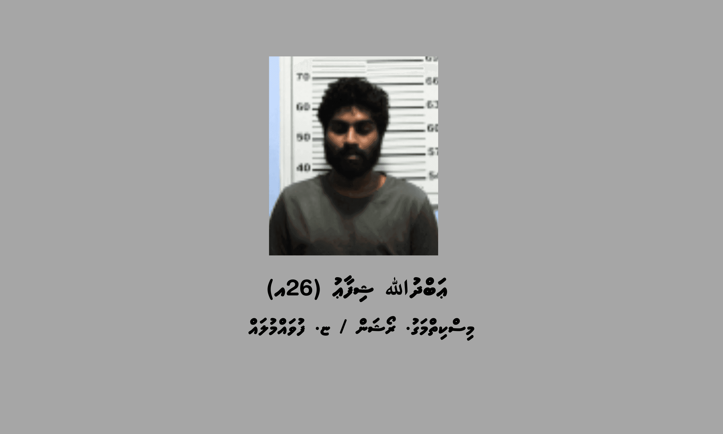 ގިނަ އަދަދެއްގެ މަސްތުވާތަކެއްޗާއެކު ފުވައްމުލައް ސިޓީން ބަޔަކު ހައްޔަރަށް!