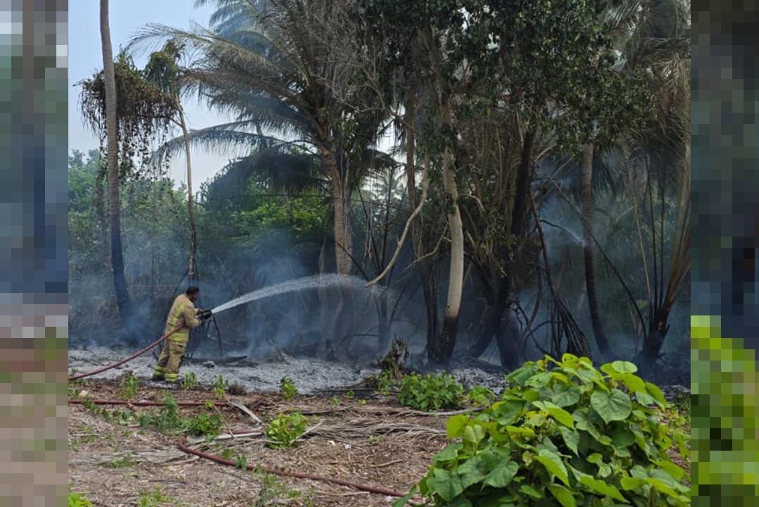 ލ އަތޮޅުގައި މިއަދު އަލިފާނުގެ ދެ ހާދިސާއެއް!