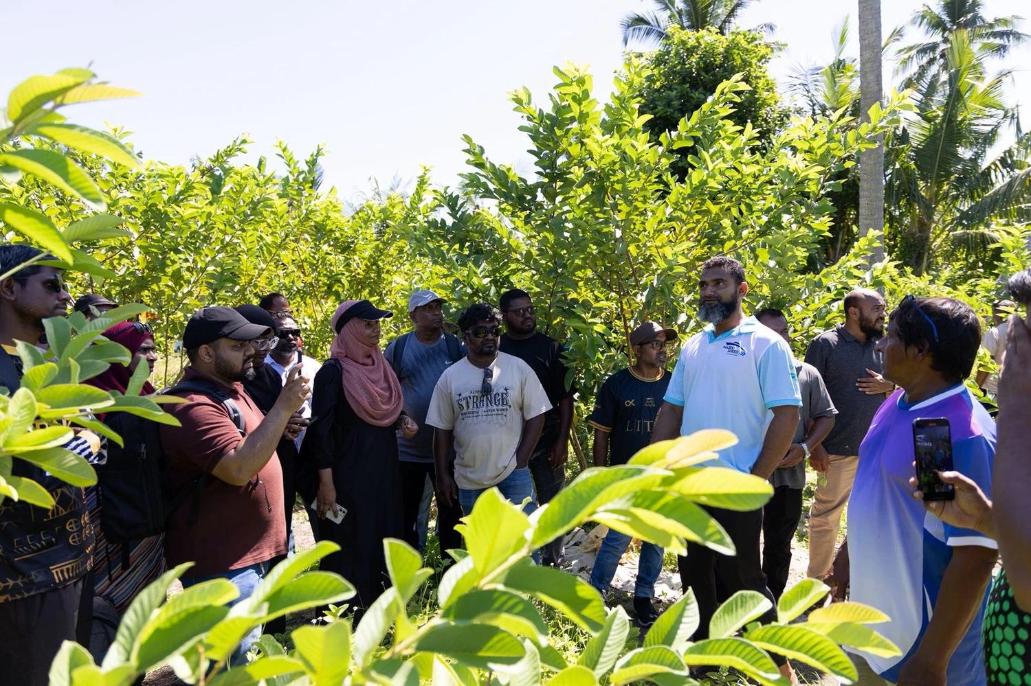 އެމްގެޕް ވޯކްޝޮޕްގެ ބައިވެރިން އަމަލީ ތަމްރީނަށް އއ. ތޮއްޑޫއަށް!