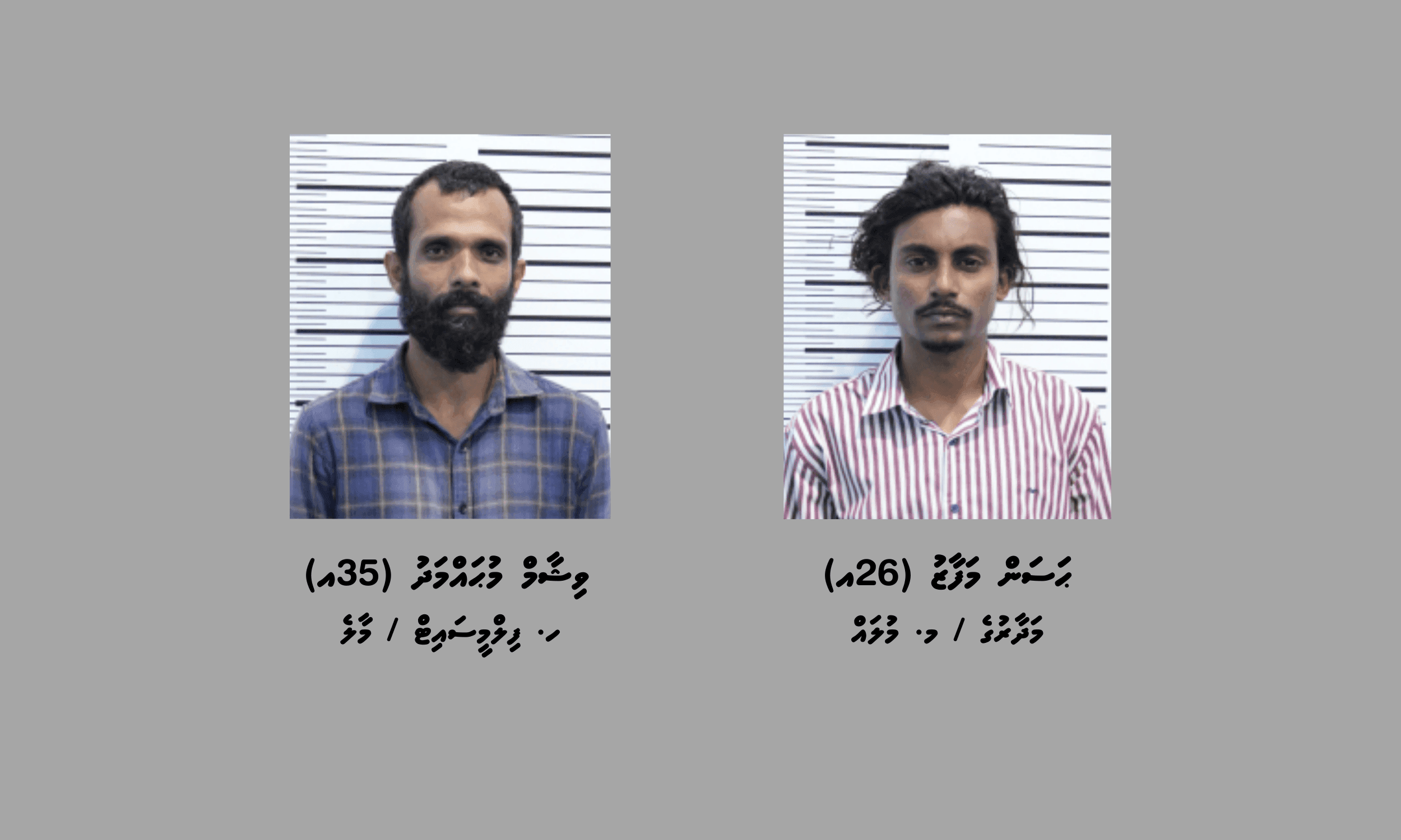 މުދާތަކެއްގައި ފޮރުވައިގެން ރާއްޖެއަށް 36 ކިލޯއަށްވުރެ ގިނަ މަސްތުވާތަކެތި އެތެރެކުރި މައްސަލާގައި ދެމީހަކު ހައްޔަރަށް!