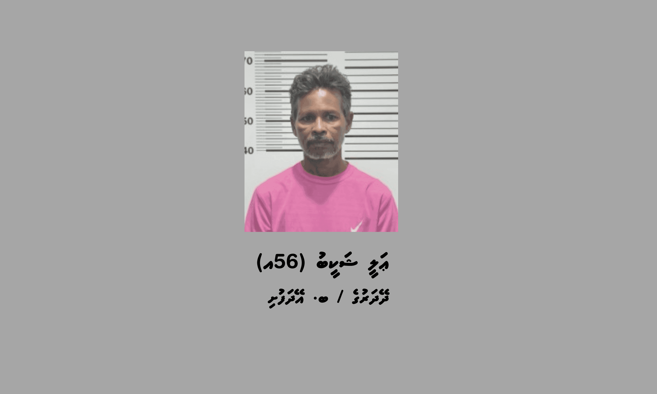 މަސްތުވާތަކެތީގެ ވިޔަފާރިކުރާކަމުގެ ތުހުމަތުގައި އޭދަފުށިން މީހަކު ހައްޔަރުކޮށްފި