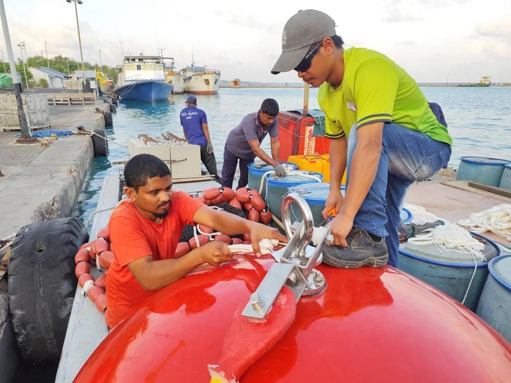 ރ.މާފަރު  ބޭރުގައި ދޮށީ ކަނދުފަތި އަޅައިފި