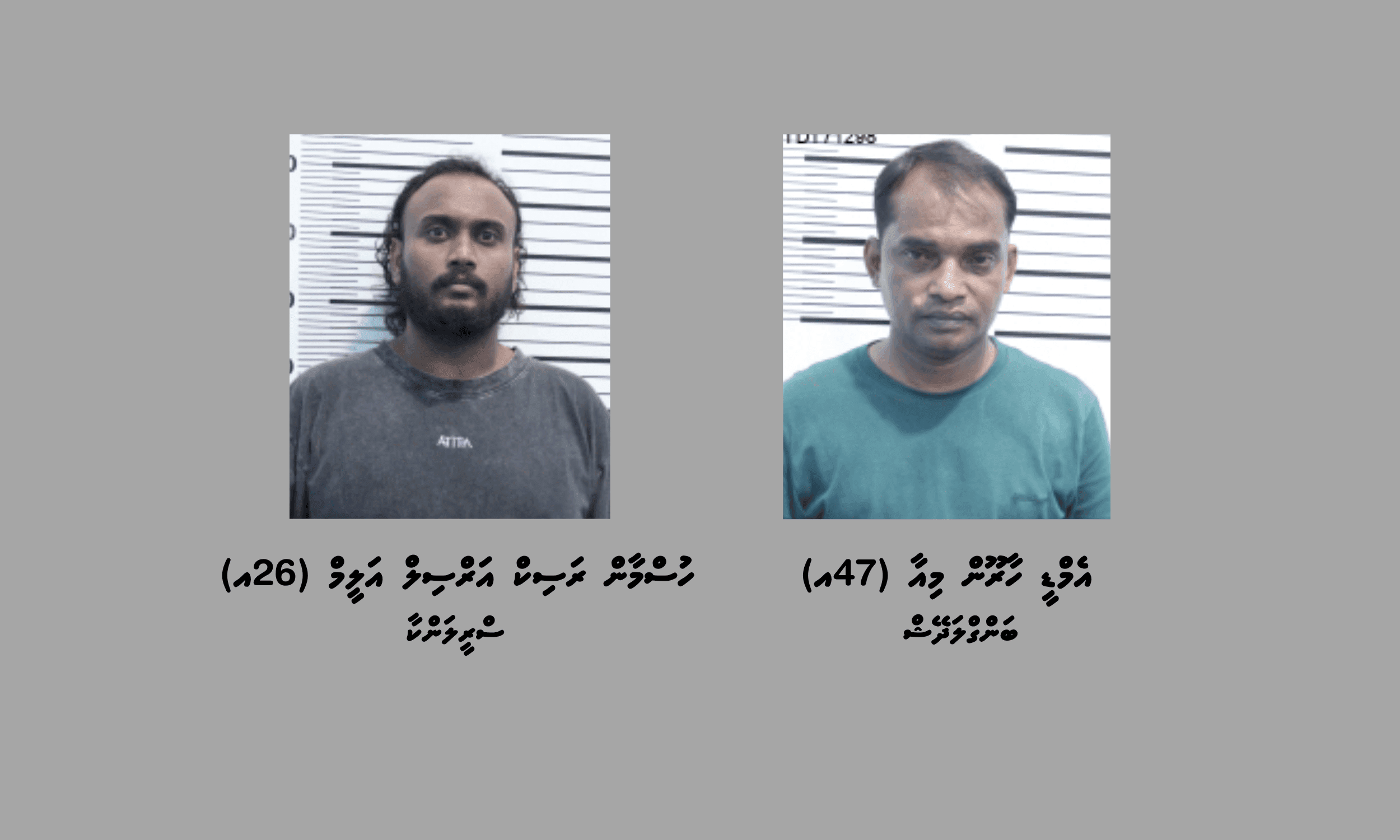 ވައިގެ މަގުން މަސްތުވާތަކެތި އެތެރެކުރަން އުޅުނު އިތުރު ބިދޭސީއަކު ހައްޔަރަށް!