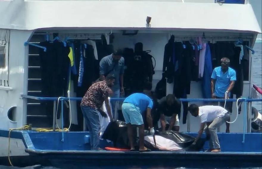 މޫދަށް އެރި އުޅުނު ފަތުރުވެރިޔަކު ދޯންޏެއްގެ ބުރަފަތީގައި ޖެހި މަރުވެއްޖެ