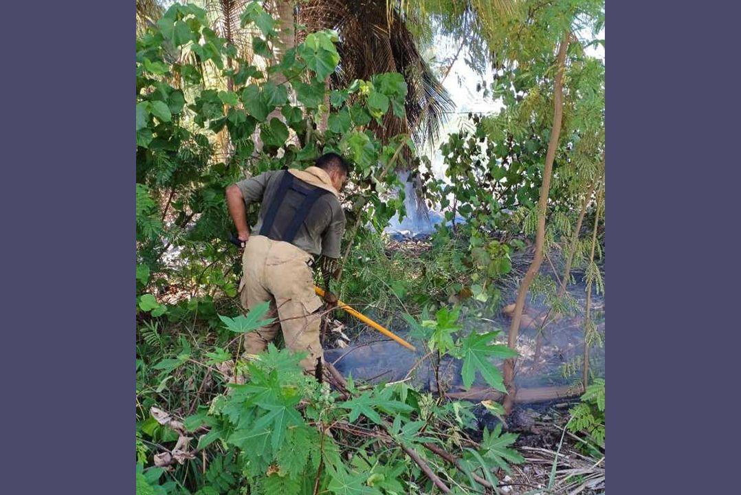 ހުޅުދޫ ވަލުތެރޭގައި އަލިފާނުގެ ހާދިސާއެއް!