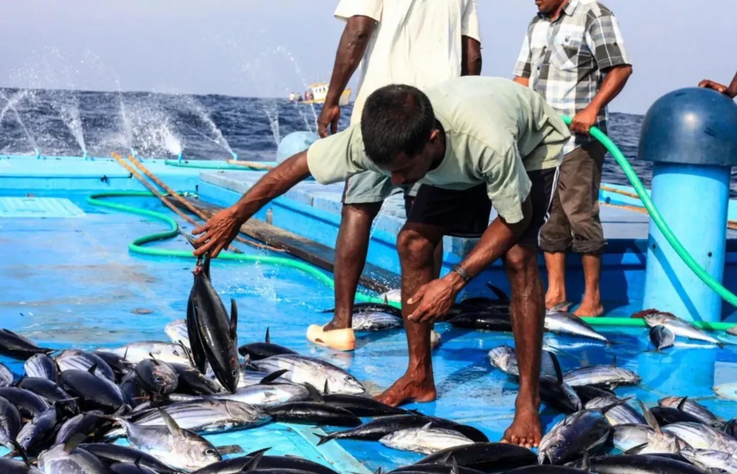  މާރިޗް މަހު ރާއްޖެއިން 69 މިލިޔަން ރުފިޔާގެ މަސް އެކްސްޕޯޓުކުރި!