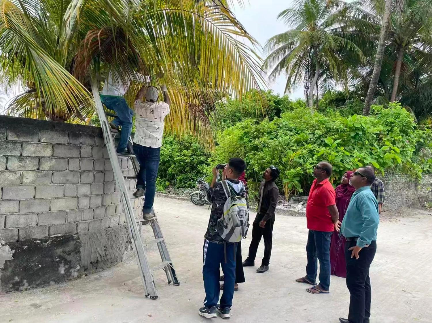 ރުއްތަކަށް ޖެހޭ ބަލިތަކަށް އަވަސް ހައްލުތަކެއް ހޯދުމުގެ މަސައްކަތްތައް ފަށައިިފި