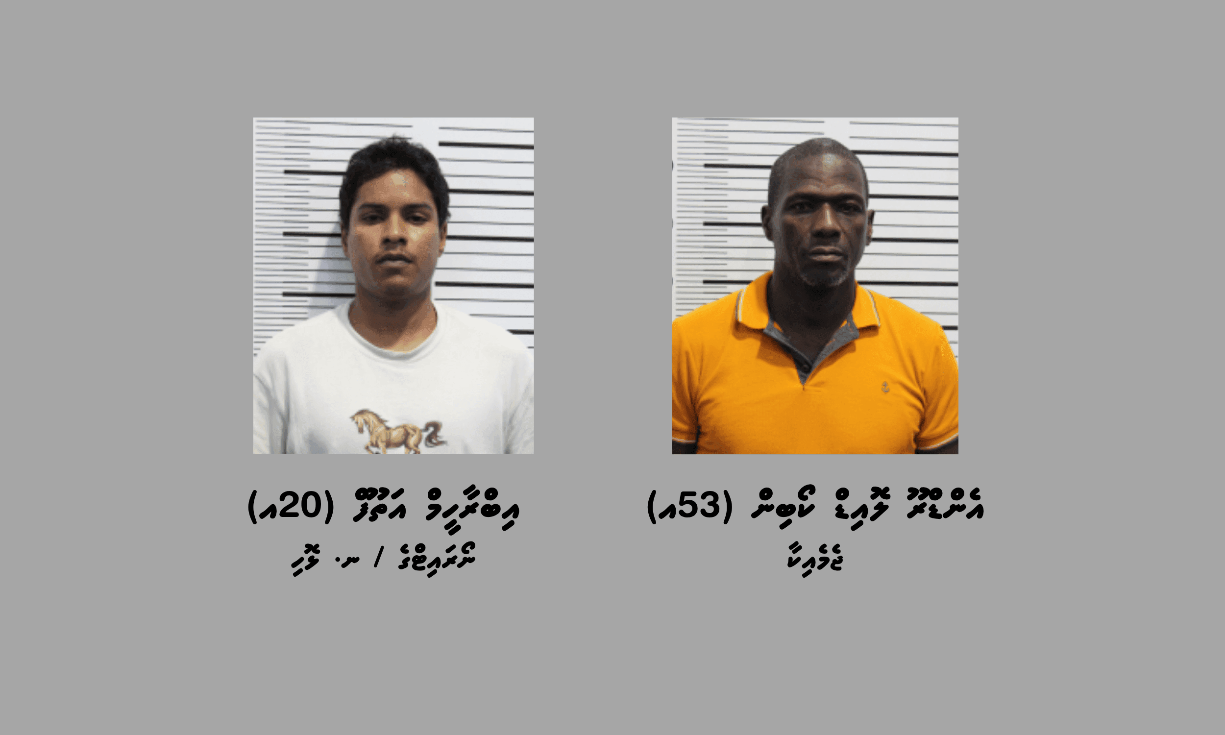 ހަށިގަނޑުގައި މަސްތުވާތަކެތި ރައްކާކޮށްގެން ރާއްޖެ އެތެރެކުރި ބޭރު ޖަމައިކާ މީހަކާއި ދެ ދިވެހިން ފުލުހުންގެ ހައްޔަރަށް!