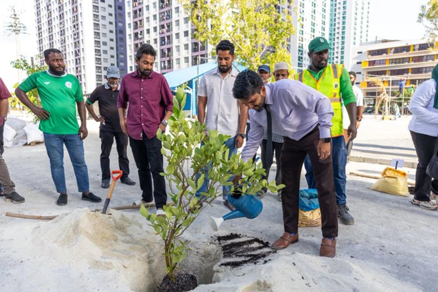 5 މިލިއަން ގަސް އިންދުމުގެ މަޝްރޫއު: ބޭސްވެރިކަމަށް ބޭނުންކުރާ ގަސްތައް އިންދުމުގެ ހަރަކާތެއް ހިޔާ ސަރަހައްދުގައި!