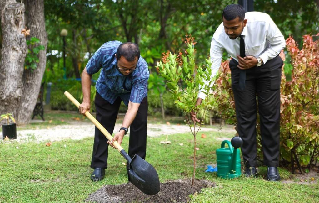 ރައީސްގެ 5 މިލިޔަން  ގަސް އިންދުމުގެ ޕްރޮގްރާމް: މިހާތަނަށް އިންދި ގަހުގެ އަދަދު 2 މިލިއަނަށް ގާތްކުރޭ