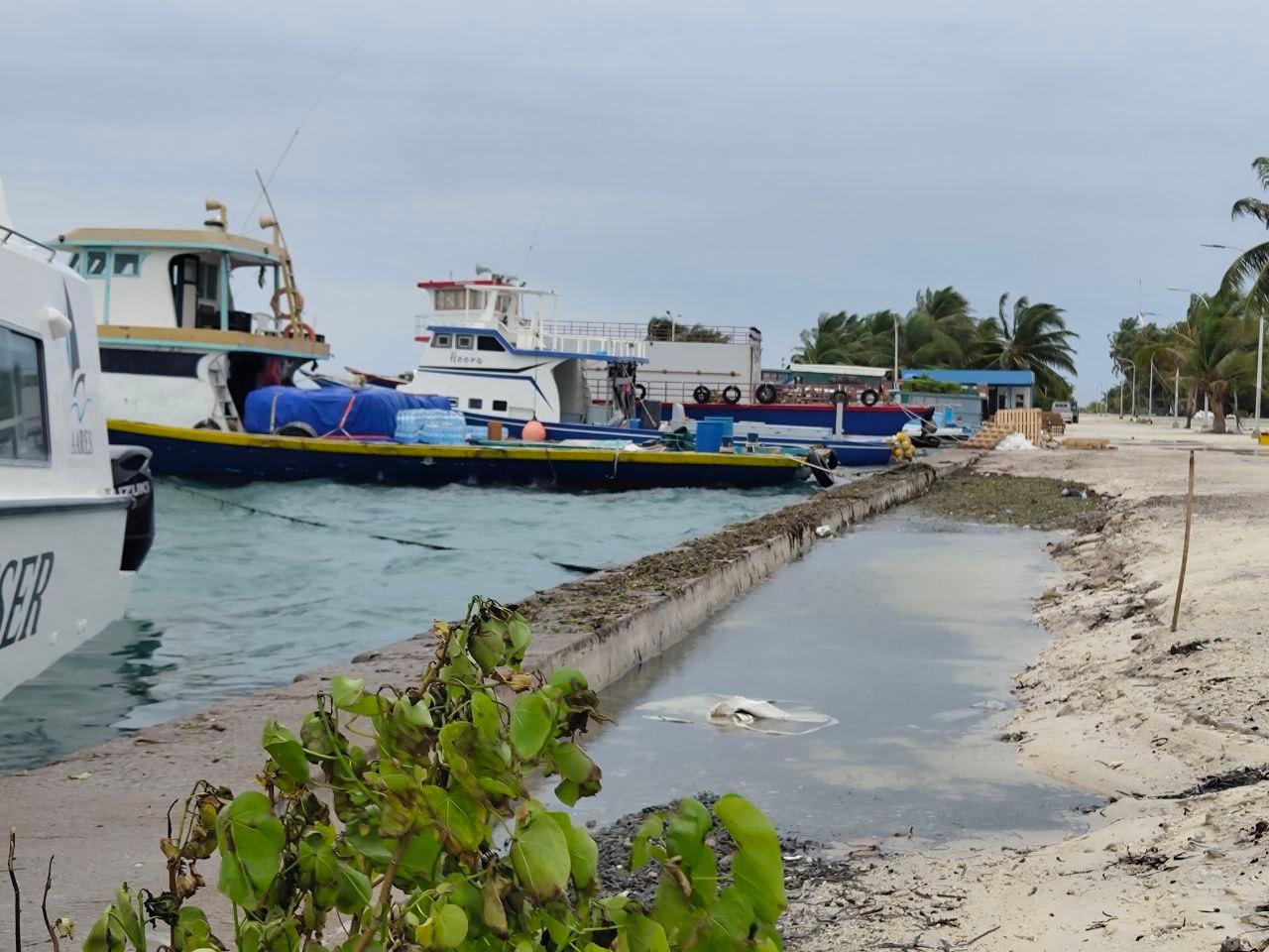 ކާށިދޫ ބަނދަރު ނުރައްކާތެރި ފައްތަރެއްގައި، އަވަސް ހައްލެއް ބޭނުންވޭ!