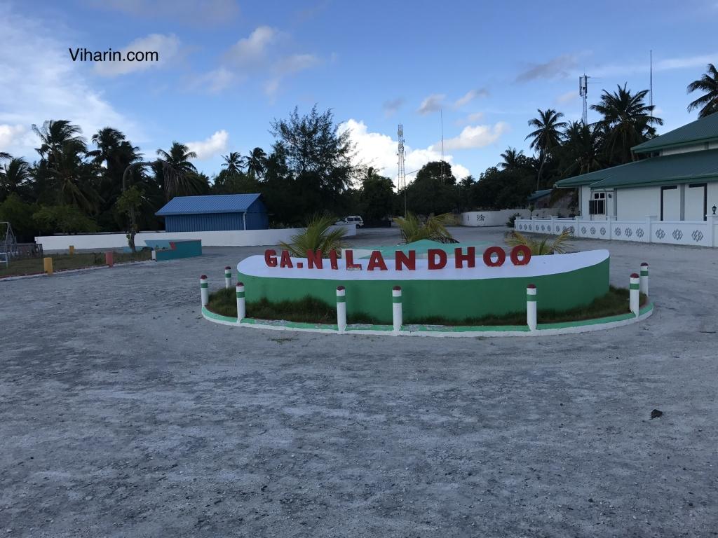 ގއ. ނިލަންދޫއިން މީހަކު ކޮވިޑަށް ފައްސިވެއްޖެ 