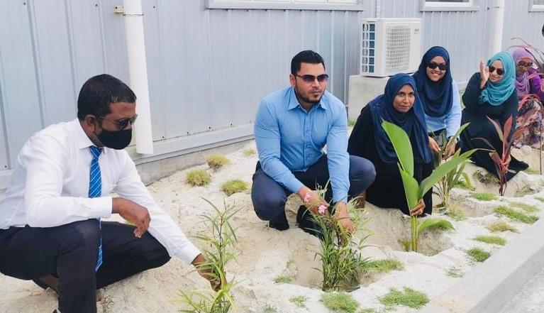 އެއްބައިވަންތަ ކަމުގެ ދުވަސް ފާހަގަކުރުމަށް ތިނަދޫގައި ގަސް އިންދުމުގެ ޕްރޮގްރާމެއް