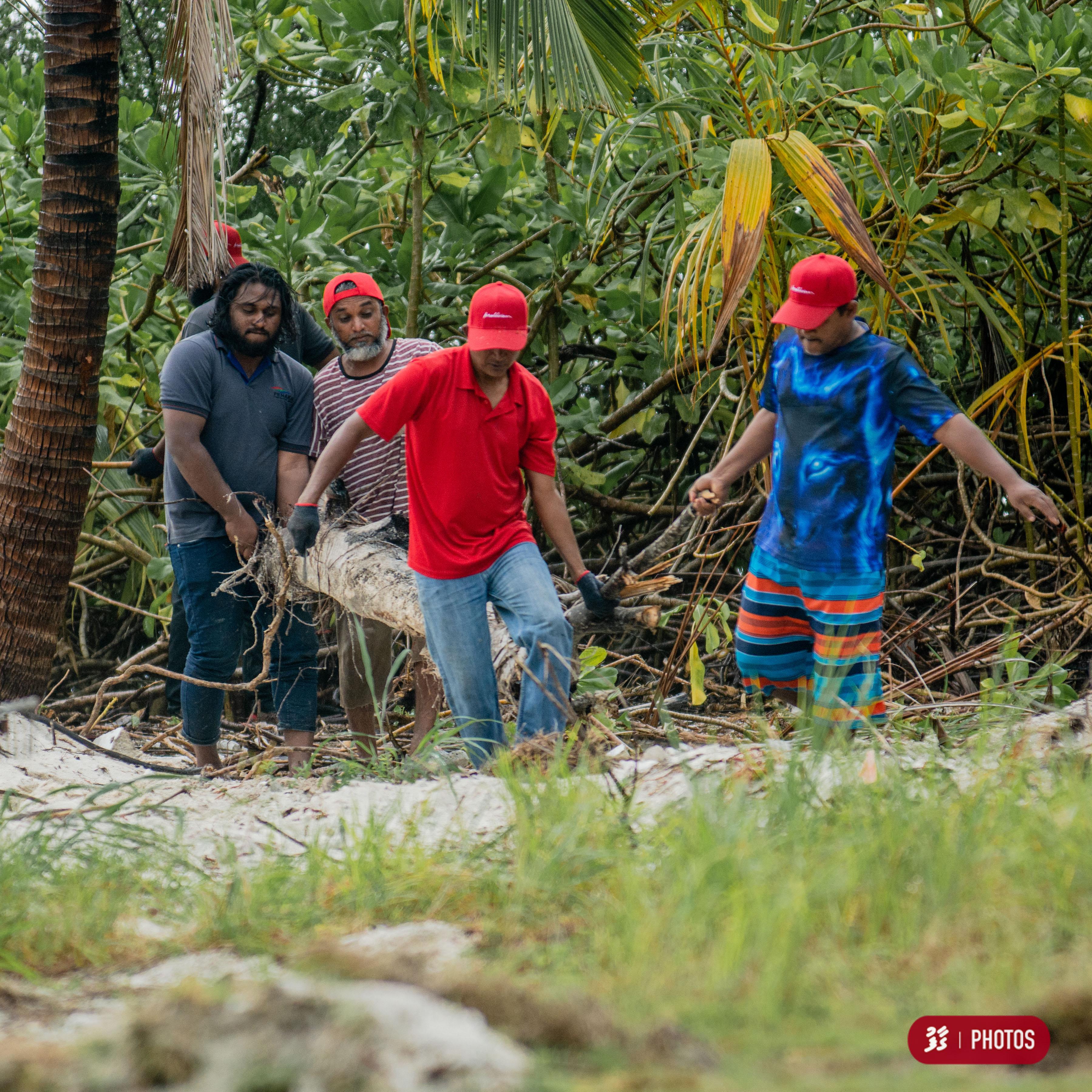 ކާޑެއްދޫ އާރޯކުރުމުގެ ޚާއްސަ ހަރަކާތް ކާމިޔާބުކަމާއިއެކު ބާއްވައިފި