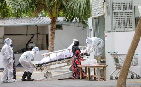 ކޮވިޑުގައި މިއަދު އިތުރު މަރެއް، ޕޮޒިޓިވްކަން އެނގުނީ މަރުވި ފަހުން