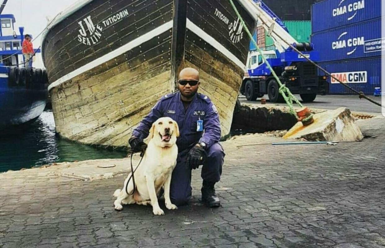 ފުލުހުންގެ ފާރަ ގެމައިގެ " ޝަކީރާ " މަރުވެއްޖެ