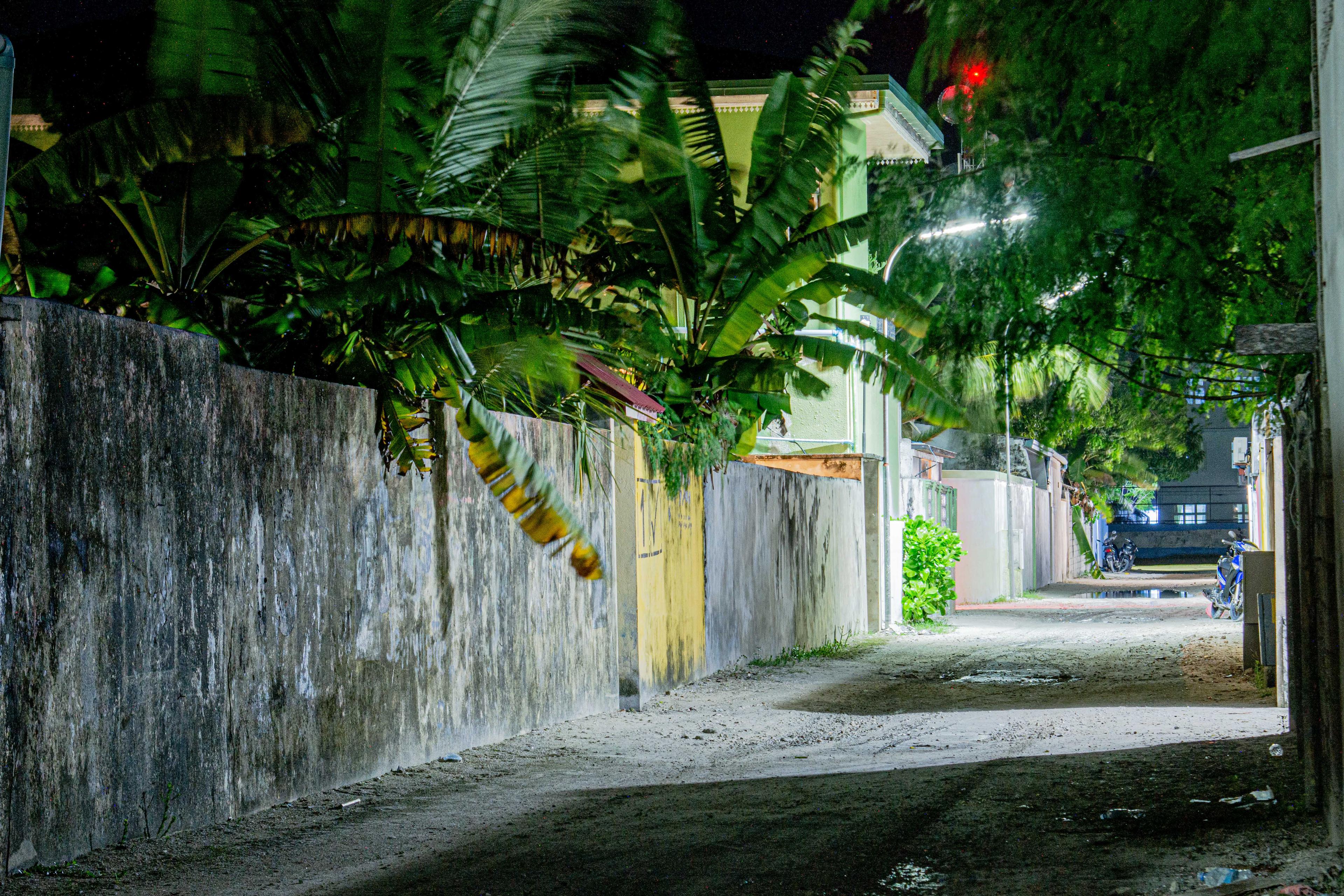 ތިނަދޫގައި ހުރި ގޯތިތަކެއް ބިދޭސިންނަށް؟
