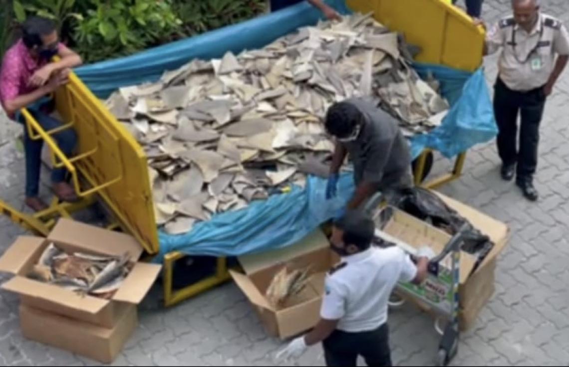 މަނާކޮށްފައިވާ މަސްވެރިކަމެއްކޮށްފި ނަމަ 4 ލައްކަ ރުފިޔާއާ ހަމައަށް ޖޫރިމަނާ ކުރެވޭނެ!