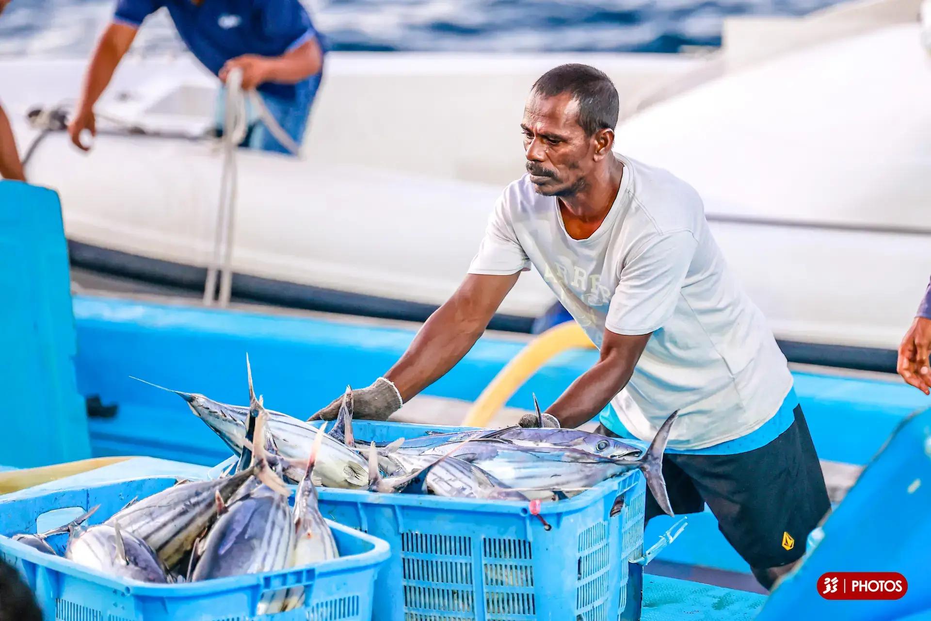 އައްޑޫ އާއި ކޫއްޑޫއަށް މިމަހުގެ 15 ނިޔަލަށް ކިރުވި މަހަށްވާ ފައިސާ މަސްވެރިންނަށް ޖަމާކޮށްފި