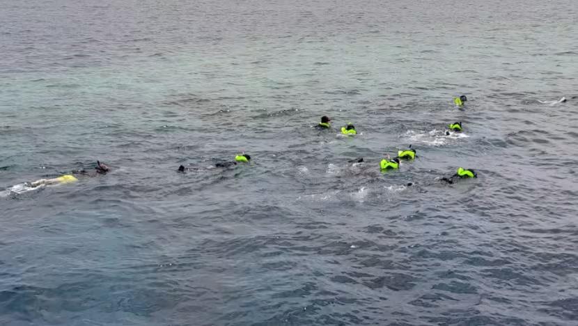 ބުރަފައްޗެއްގައި ޖެހި ސިންގަޕޫރު ކުއްޖަކު މަރުވި މައްސަލައާއި ގުޅިގެން އެގައުމުގެ ޓީމެއް ރާއްޖޭގައި!