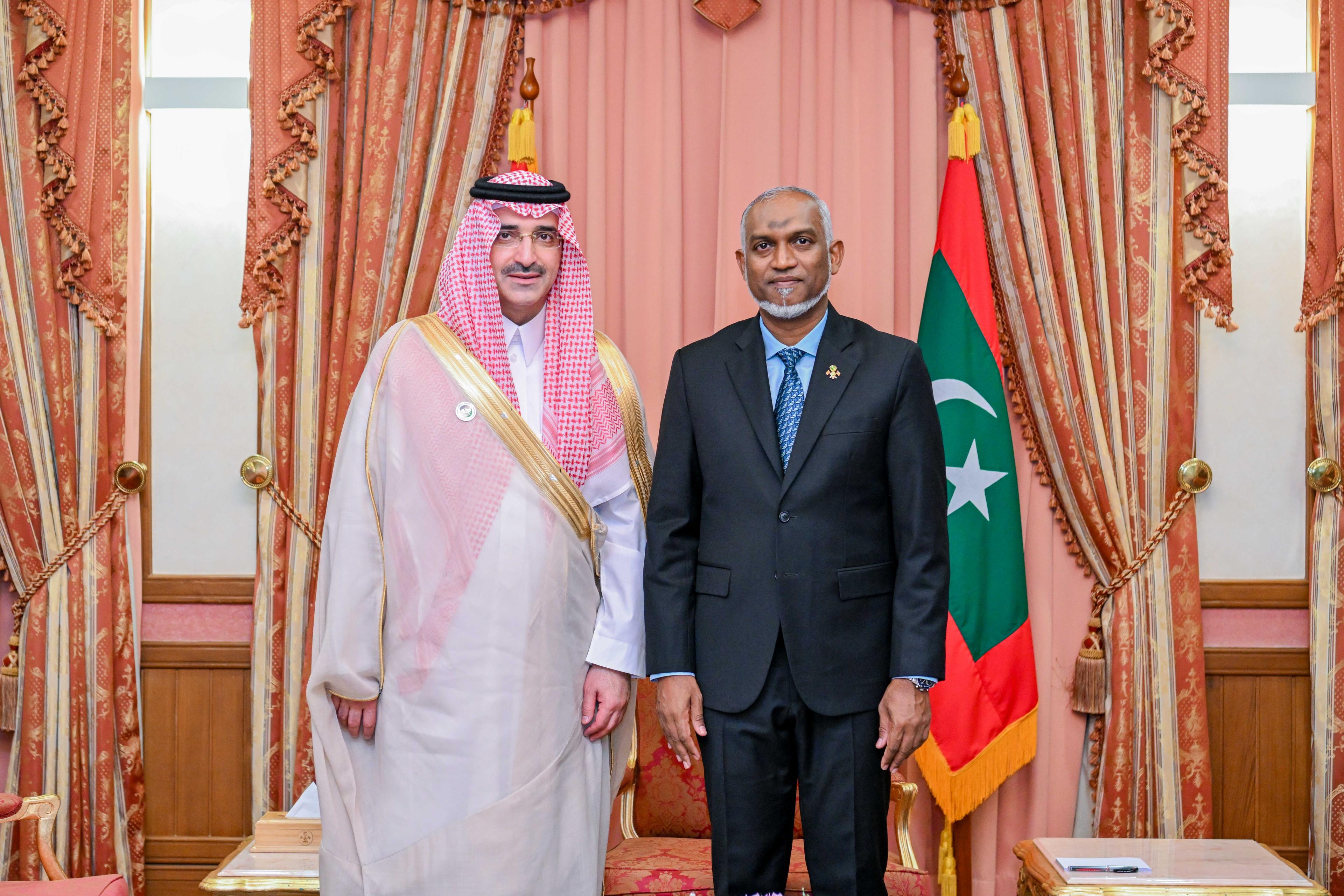 President Meets Chief Executive Officer of the Saudi Fund