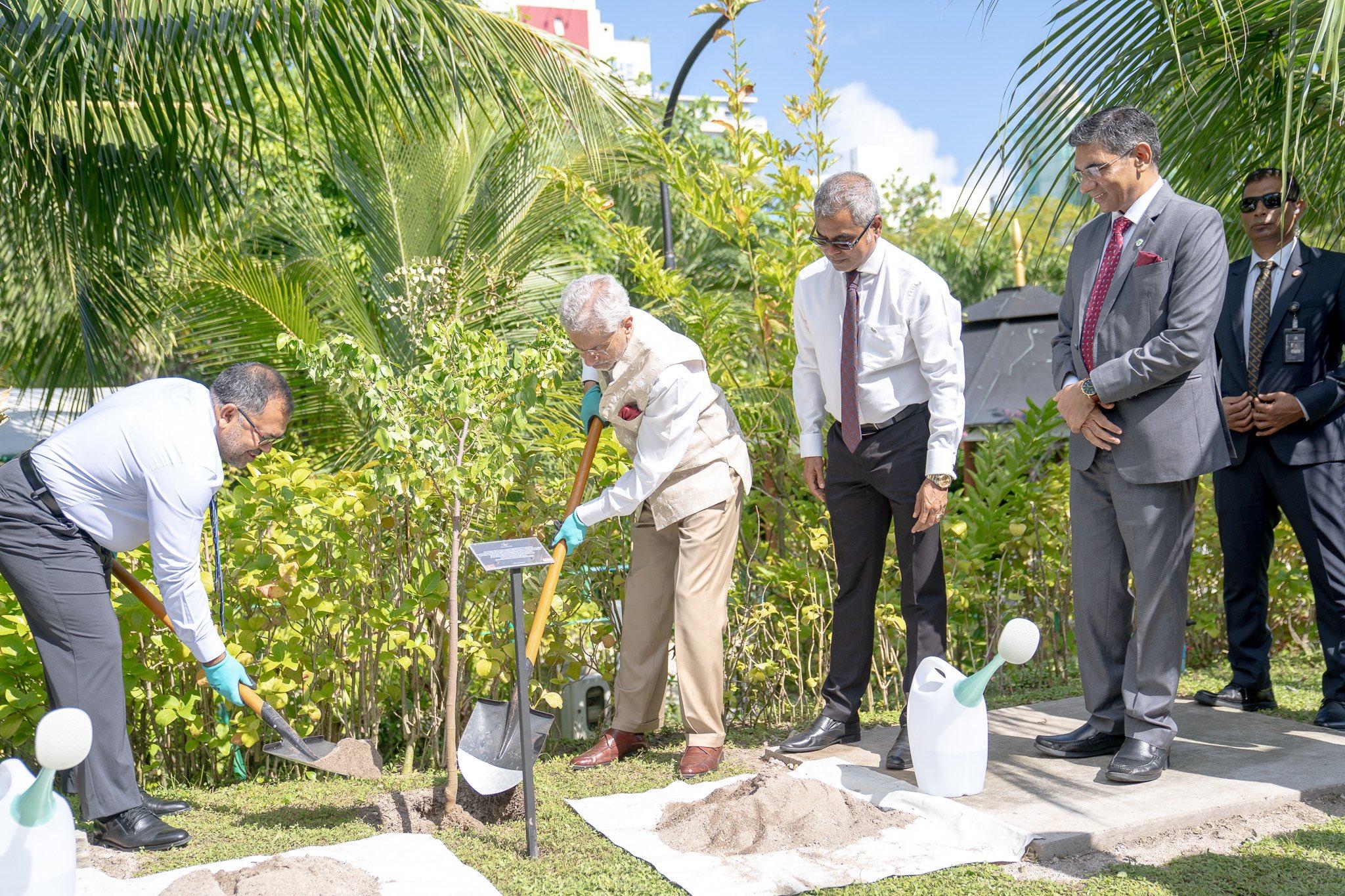 ރައީސް މުއިއްޒުގެ 5 މިލިއަން ގަސް އިންދުމުގެ ހަރަކާތުގައި ޖައިޝަންކަރު ބައިވެރިވެވަޑައިގެންފި