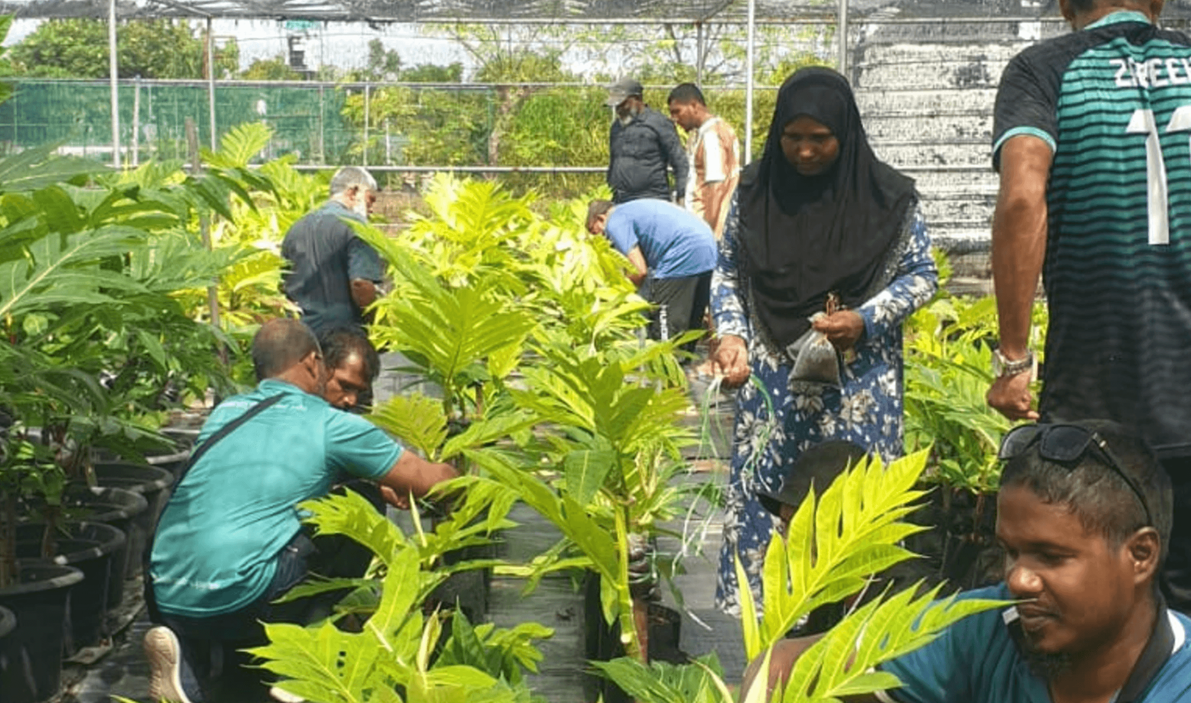 ހދ. އަތޮޅު ދަނޑުވެރިންނަށް އަމާޒުކޮށްގެން ޚާއްޞަ ތަމްރީނު ޕްރޮގްރާމެއް ފަށައިފި